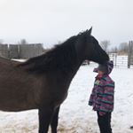 Profile Picture of Kyla Haley Briggs (@benny_besthorseever) on Instagram