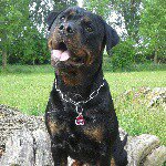 Profile Picture of Doris Zimmermann (@doris.zimmermann) on Instagram