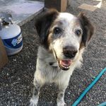 Profile Picture of Kent Aneloski (@cowboyforever33) on Instagram