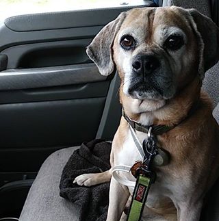 Profile Picture of David Welcome (@david.welcome.752) on Facebook