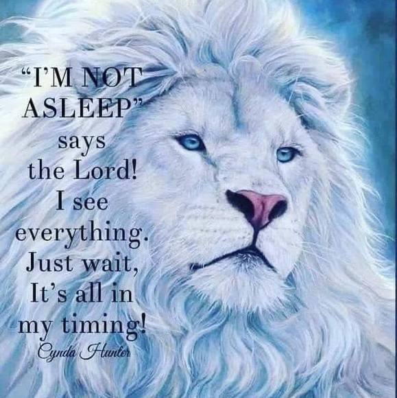 Profile Picture of Sharon Boothe tucker (@stcresent) on Poshmark