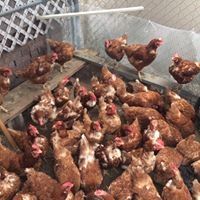 Profile Picture of Camilo Cordero (@alarconlili0709) on Pinterest