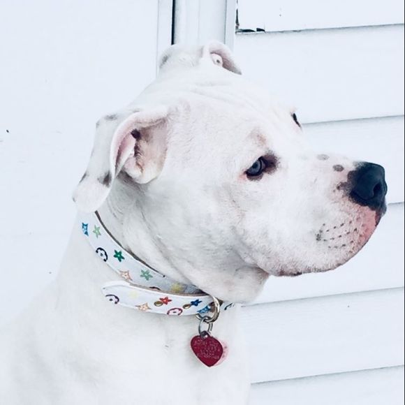 Profile Picture of Kobe Byrant (@dajokester12) on Poshmark