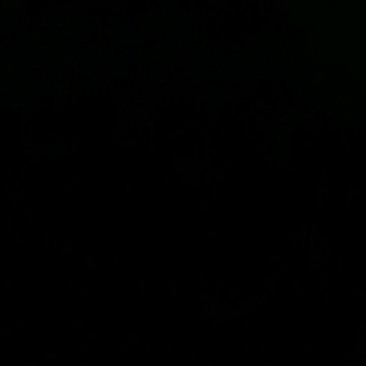 Profile Picture of Kennith Coelen (@kennithcoelen) on Tiktok