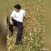 Profile Picture of David Artezán (@@davidart96) on Tiktok