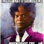 Profile Picture of Shawn Shahan (@smshahan) on Instagram