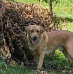 Profile Picture of Andrew Stetson (@andrew.stetson.104203) on Facebook