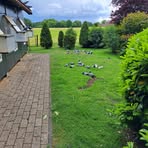 Profile Picture of Bert Jan Gerritsen (@bertjan.gerritsen.3) on Facebook