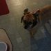 Profile Picture of Nancy Hartzog (@nancy.hartzog.71) on Facebook