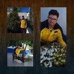 Profile Picture of marcelo capucho lopes (@marcelocapucholopes) on Instagram