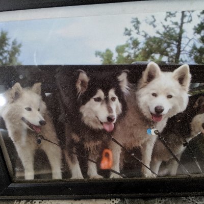 Profile Picture of Donna Tidwell (@DonnaTidwell20) on Twitter