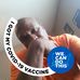 Profile Picture of Ralph Garrison (@ralph.garrison.330) on Facebook