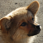 Profile Picture of Sonna.banana (@sonna.banana) on Flickr