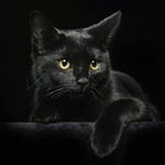 Profile Picture of David Tabbert (@tabbert.david) on Instagram