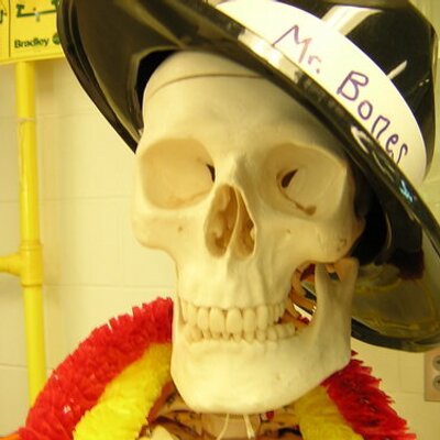 Profile Picture of Kyle Gardner (@twolf427) on Twitter