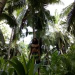 Jeremy Sadler - Instagram Profile Picture of Jeremy Sadler (@turtlecommuter) on Instagram