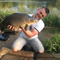 Profile Picture of Paul Lione (@paul-lione) on Quora