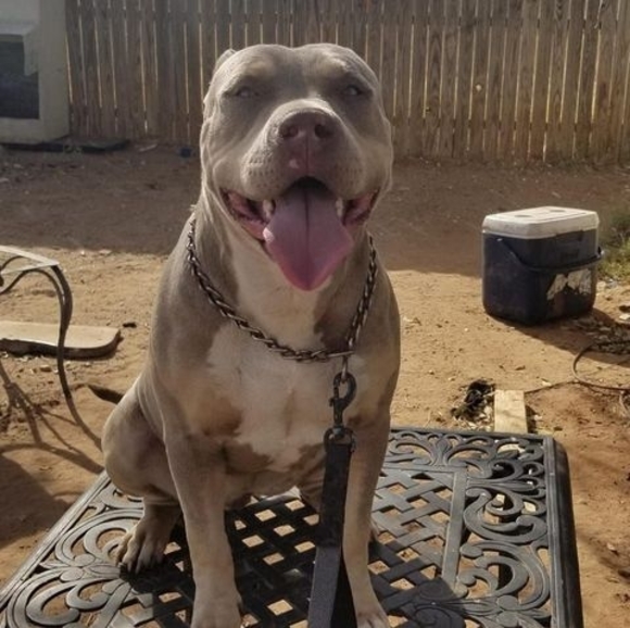 Profile Picture of Fernando Aguirre (@nando1alize) on Poshmark