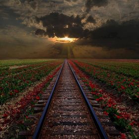 Profile Picture of Violet Newton (@ViNewton03) on Pinterest