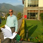 Profile Picture of Tariq Javed (@tariqjaved974) on Instagram