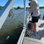 Profile Picture of Robert Coffman (@robert_c_btw) on Instagram