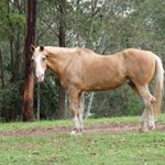 Profile Picture of Jill Harding-Clark (@jillhardingclark) on Instagram