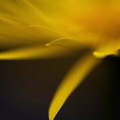 Profile Picture of Mckenzie Julianne (@mckenziejulianne2997) on Youtube