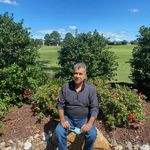 Profile Picture of Ahmad Shirazifar (@shirazifarahmad) on Instagram