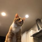 Profile Picture of Andrew Hobart (@andrew.hobart) on Instagram