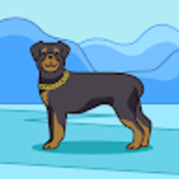 Profile Picture of Roberta Knueppel (@meganknuep) on Poshmark