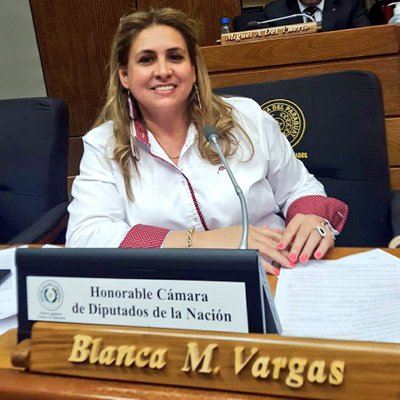 Profile Picture of Blanca Vargas (@DiputadaBlancaV) on Twitter