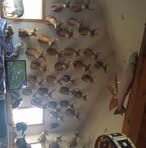 Profile Picture of Todd Hackett (@todd.hackett.31) on Facebook