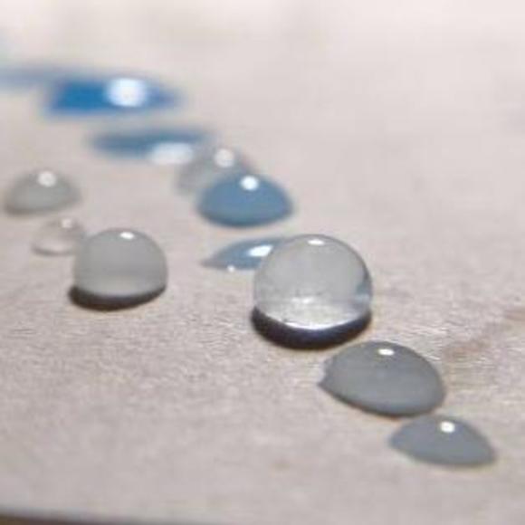 Profile Picture of Chia Lin (@chia_lin) on Poshmark