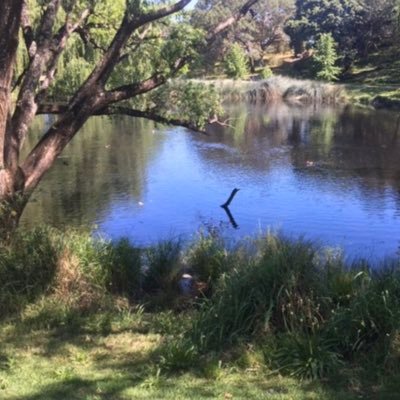 Profile Picture of Richard Callander (@richieplz) on Twitter