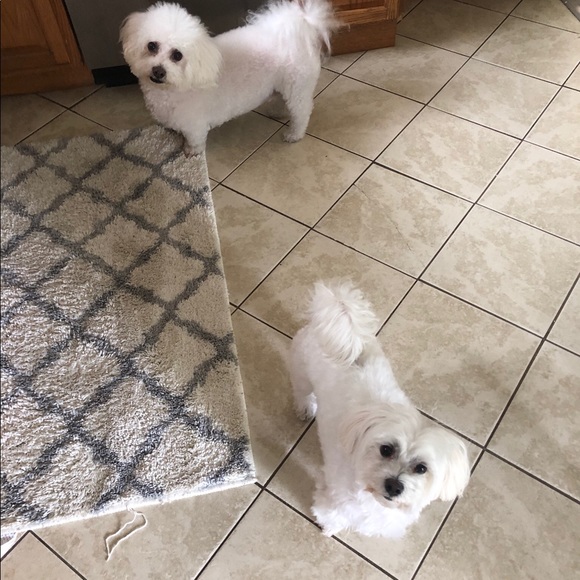 Danyelle Salpietro - Poshmark Profile Picture of Danyelle Salpietro (@drdanyelle) on Poshmark