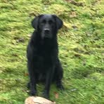 Profile Picture of Terrence Willcox (@Terrence-Willcox) on Facebook