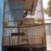 Profile Picture of Marsal (@marsal.marsal.9404) on Facebook