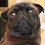 Profile Picture of John Andre Cueva (@_johnandre) on Instagram