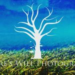 Profile Picture of Cody Suggs (@natures_will_photography) on Instagram