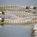 Profile Picture of Zenobia Thomas Studio (@zenobiats) on Pinterest