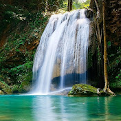 Lisa Petersen - Youtube Profile Picture of Lisa Petersen (@lisapetersen5686) on Youtube