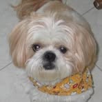Profile Picture of Claudette Aspirot (@claudette.aspirot) on Facebook