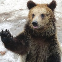 Jacob Carlin - Quora Profile Picture of Jacob Carlin (@jacob-carlin-4) on Quora