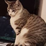 Profile Picture of Maureen Gibbs (@mauree5953) on Instagram