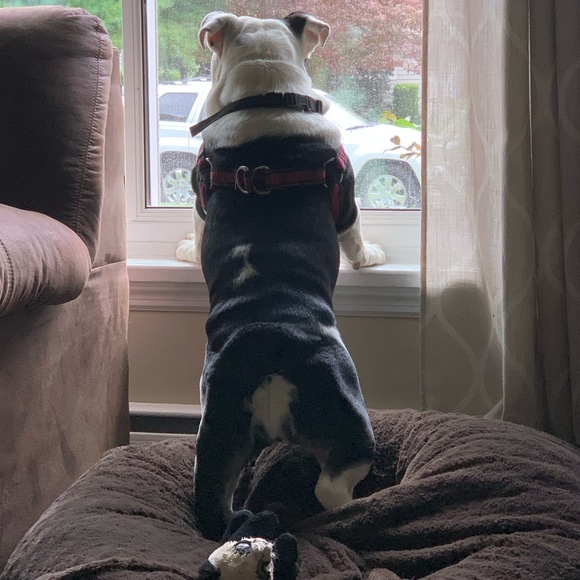 Profile Picture of Michael Mcgee (@bigengpippa) on Poshmark