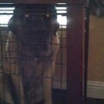 Profile Picture of Adolfo Corral (@adolfo.corral.14) on Instagram