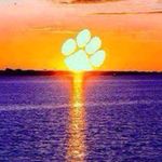 Profile Picture of Andrew Colson Fugate (@andrew._.colson._.fugate) on Instagram