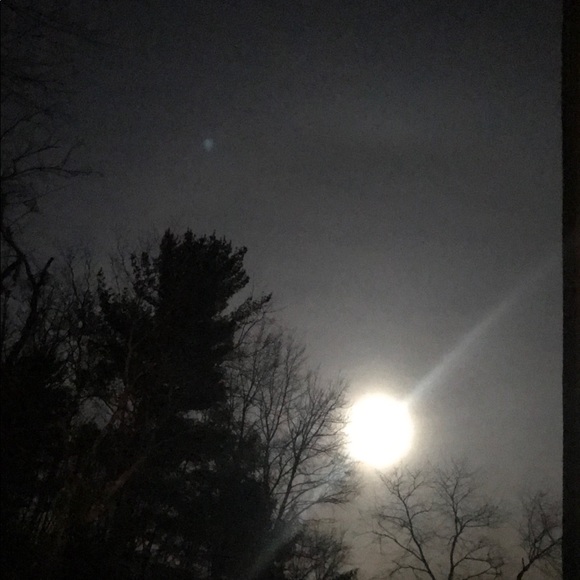 Profile Picture of Natalie Bachetti (@nbachetti4) on Poshmark