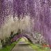 Profile Picture of Beverly Robertson (@blummac) on Pinterest
