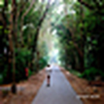Profile Picture of Raajesh Jamwal (@raajeshjamwal) on Flickr